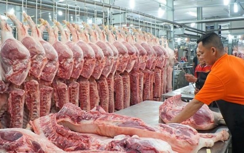 Kim ngạch nhập khẩu thịt lợn của Việt Nam tăng mạnh